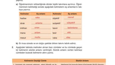 9. Sınıf Meb Yayınları Türkçe Ders Kitabı Sayfa 265 Cevapları