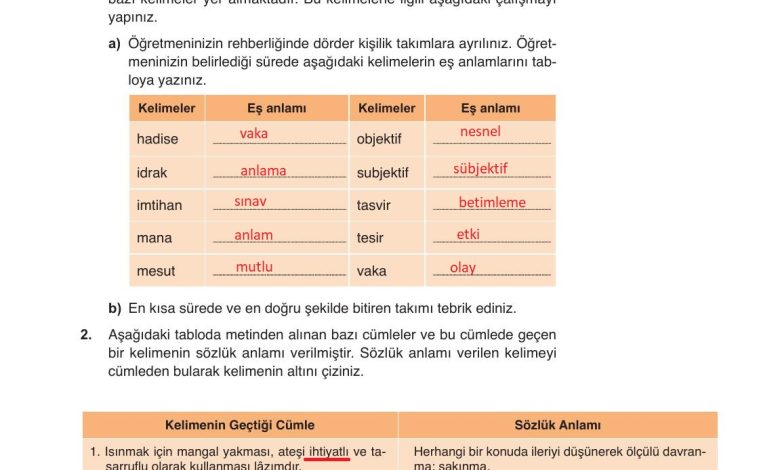 9. Sınıf Meb Yayınları Türkçe Ders Kitabı Sayfa 265 Cevapları