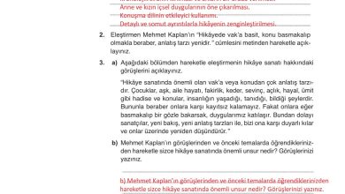 9. Sınıf Meb Yayınları Türkçe Ders Kitabı Sayfa 266 Cevapları