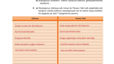 9. Sınıf Meb Yayınları Türkçe Ders Kitabı Sayfa 270 Cevapları