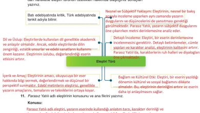 9. Sınıf Meb Yayınları Türkçe Ders Kitabı Sayfa 271 Cevapları