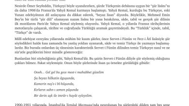 9. Sınıf Meb Yayınları Türkçe Ders Kitabı Sayfa 276 Cevapları