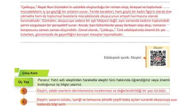 9. Sınıf Meb Yayınları Türkçe Ders Kitabı Sayfa 278 Cevapları