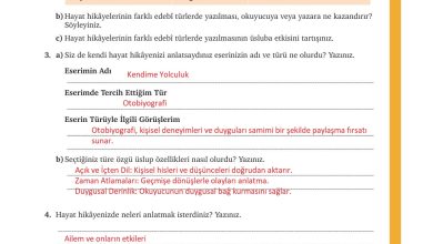 9. Sınıf Meb Yayınları Türkçe Ders Kitabı Sayfa 283 Cevapları