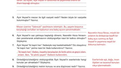 9. Sınıf Meb Yayınları Türkçe Ders Kitabı Sayfa 287 Cevapları