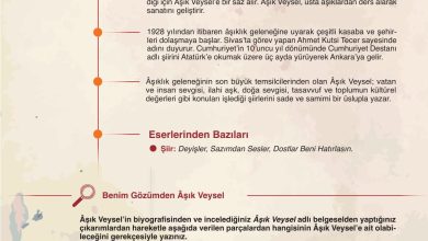 9. Sınıf Meb Yayınları Türkçe Ders Kitabı Sayfa 289 Cevapları