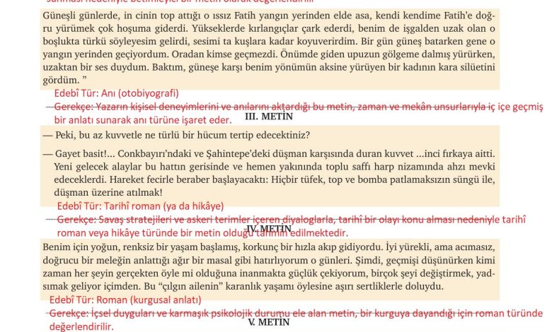 9. Sınıf Meb Yayınları Türkçe Ders Kitabı Sayfa 290 Cevapları