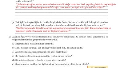 9. Sınıf Meb Yayınları Türkçe Ders Kitabı Sayfa 292 Cevapları