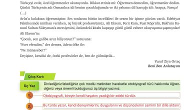 9. Sınıf Meb Yayınları Türkçe Ders Kitabı Sayfa 293 Cevapları