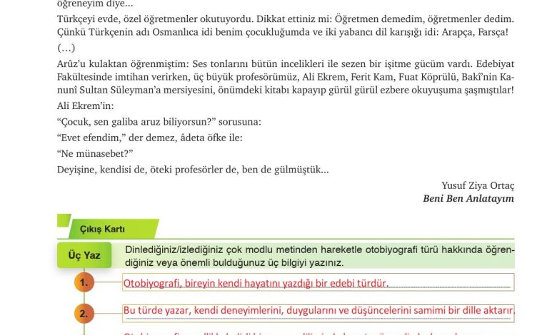 9. Sınıf Meb Yayınları Türkçe Ders Kitabı Sayfa 293 Cevapları