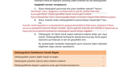 9. Sınıf Meb Yayınları Türkçe Ders Kitabı Sayfa 294 Cevapları