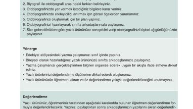 9. Sınıf Meb Yayınları Türkçe Ders Kitabı Sayfa 295 Cevapları