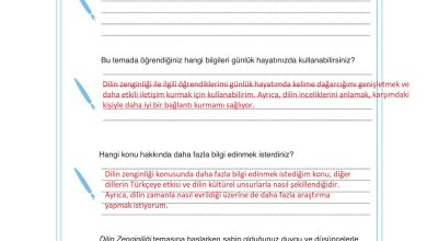 9. Sınıf Meb Yayınları Türkçe Ders Kitabı Sayfa 303 Cevapları