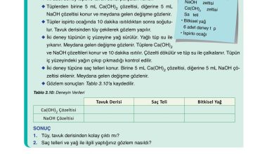 10. Sınıf Ata Yayıncılık Kimya Ders Kitabı Sayfa 155 Cevapları