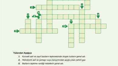 10. Sınıf Ata Yayıncılık Kimya Ders Kitabı Sayfa 162 Cevapları