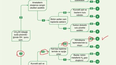 10. Sınıf Ata Yayıncılık Kimya Ders Kitabı Sayfa 163 Cevapları