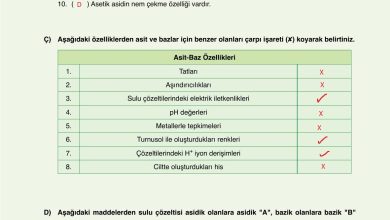 10. Sınıf Ata Yayıncılık Kimya Ders Kitabı Sayfa 164 Cevapları