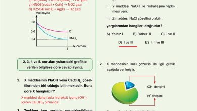 10. Sınıf Ata Yayıncılık Kimya Ders Kitabı Sayfa 165 Cevapları