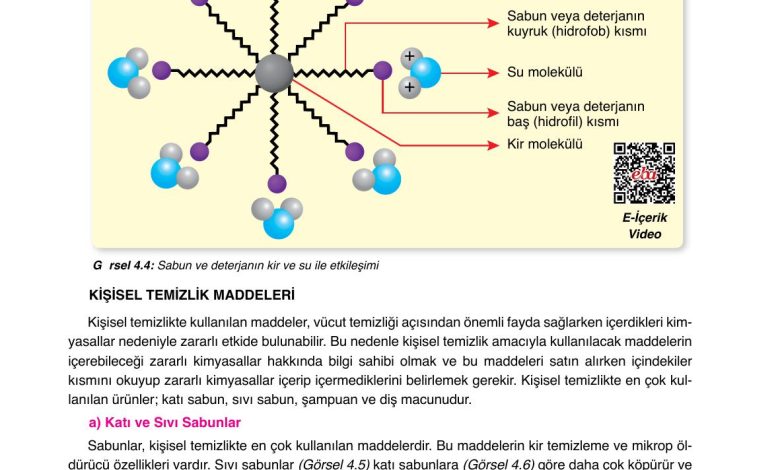 10. Sınıf Ata Yayıncılık Kimya Ders Kitabı Sayfa 173 Cevapları