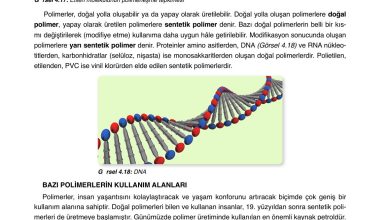 10. Sınıf Ata Yayıncılık Kimya Ders Kitabı Sayfa 177 Cevapları