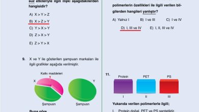 10. Sınıf Ata Yayıncılık Kimya Ders Kitabı Sayfa 200 Cevapları