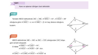 10. Sınıf Hecce Yayıncılık Matematik Ders Kitabı Sayfa 292 Cevapları