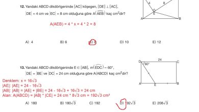 10. Sınıf Hecce Yayıncılık Matematik Ders Kitabı Sayfa 306 Cevapları