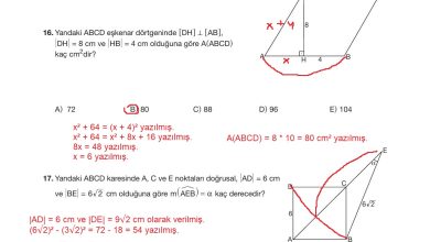 10. Sınıf Hecce Yayıncılık Matematik Ders Kitabı Sayfa 307 Cevapları