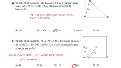 10. Sınıf Hecce Yayıncılık Matematik Ders Kitabı Sayfa 308 Cevapları