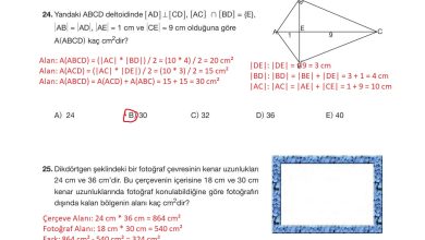 10. Sınıf Hecce Yayıncılık Matematik Ders Kitabı Sayfa 309 Cevapları