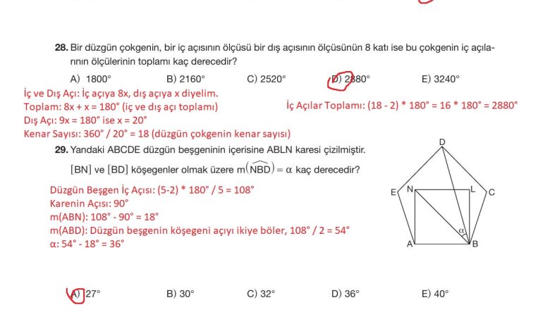 10. Sınıf Hecce Yayıncılık Matematik Ders Kitabı Sayfa 310 Cevapları