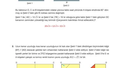 10. Sınıf Hecce Yayıncılık Matematik Ders Kitabı Sayfa 311 Cevapları