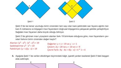 10. Sınıf Hecce Yayıncılık Matematik Ders Kitabı Sayfa 312 Cevapları