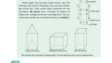 10. Sınıf Hecce Yayıncılık Matematik Ders Kitabı Sayfa 315 Cevapları