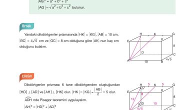 10. Sınıf Hecce Yayıncılık Matematik Ders Kitabı Sayfa 316 Cevapları