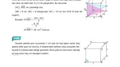 10. Sınıf Hecce Yayıncılık Matematik Ders Kitabı Sayfa 317 Cevapları