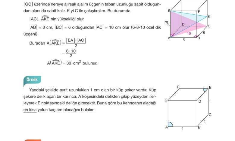 10. Sınıf Hecce Yayıncılık Matematik Ders Kitabı Sayfa 317 Cevapları