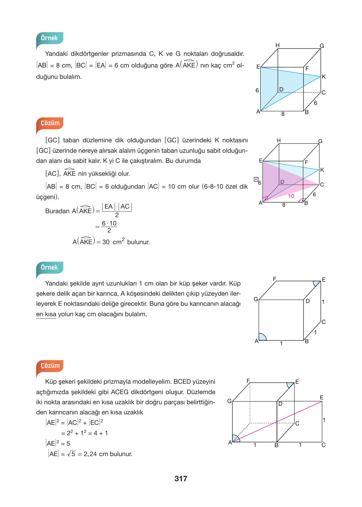 10. Sınıf Hecce Yayıncılık Matematik Ders Kitabı Sayfa 317 Cevapları