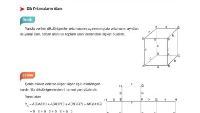 10. Sınıf Hecce Yayıncılık Matematik Ders Kitabı Sayfa 318 Cevapları