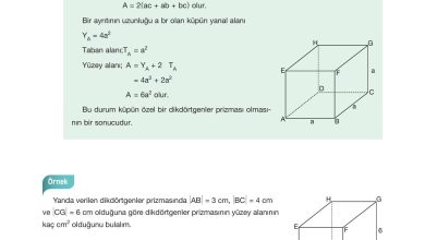 10. Sınıf Hecce Yayıncılık Matematik Ders Kitabı Sayfa 320 Cevapları