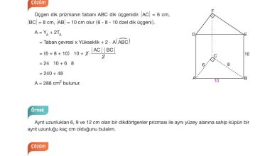 10. Sınıf Hecce Yayıncılık Matematik Ders Kitabı Sayfa 321 Cevapları