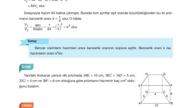 10. Sınıf Hecce Yayıncılık Matematik Ders Kitabı Sayfa 325 Cevapları