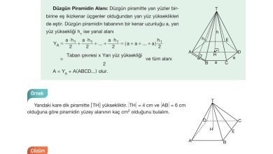 10. Sınıf Hecce Yayıncılık Matematik Ders Kitabı Sayfa 330 Cevapları