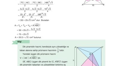 10. Sınıf Hecce Yayıncılık Matematik Ders Kitabı Sayfa 331 Cevapları