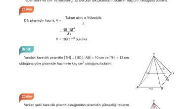 10. Sınıf Hecce Yayıncılık Matematik Ders Kitabı Sayfa 332 Cevapları