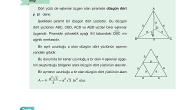 10. Sınıf Hecce Yayıncılık Matematik Ders Kitabı Sayfa 333 Cevapları