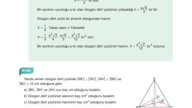 10. Sınıf Hecce Yayıncılık Matematik Ders Kitabı Sayfa 334 Cevapları