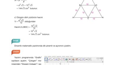 10. Sınıf Hecce Yayıncılık Matematik Ders Kitabı Sayfa 335 Cevapları