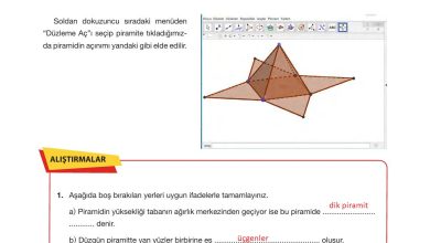 10. Sınıf Hecce Yayıncılık Matematik Ders Kitabı Sayfa 336 Cevapları