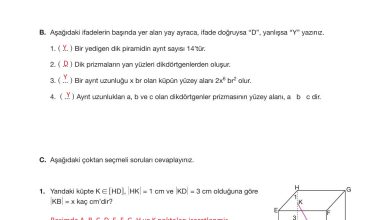 10. Sınıf Hecce Yayıncılık Matematik Ders Kitabı Sayfa 341 Cevapları